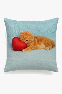 housse de coussin décorative avec motif chat mignon