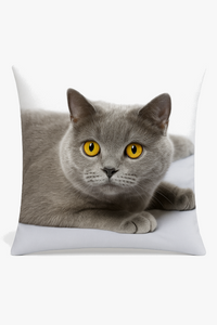 housse de coussin décorative avec motif chat mignon