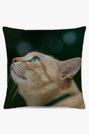 housse-de-coussin-d-corative-avec-motif-chat-mignon-0.png