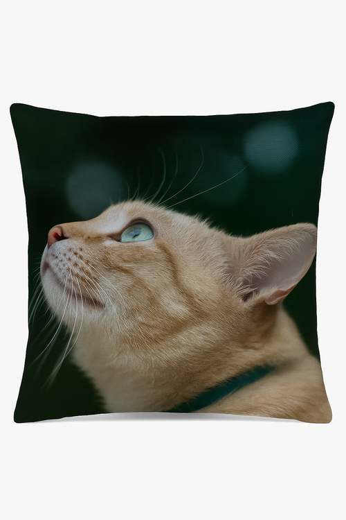 housse-de-coussin-d-corative-avec-motif-chat-mignon-0.png