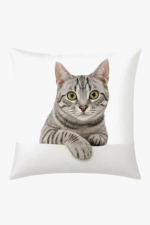 housse-de-coussin-d-corative-avec-motif-chat-mignon-0.png