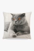 housse-de-coussin-d-corative-chat-mignon-pour-int-rieur-0.png