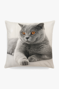 housse de coussin décorative chat mignon pour intérieur