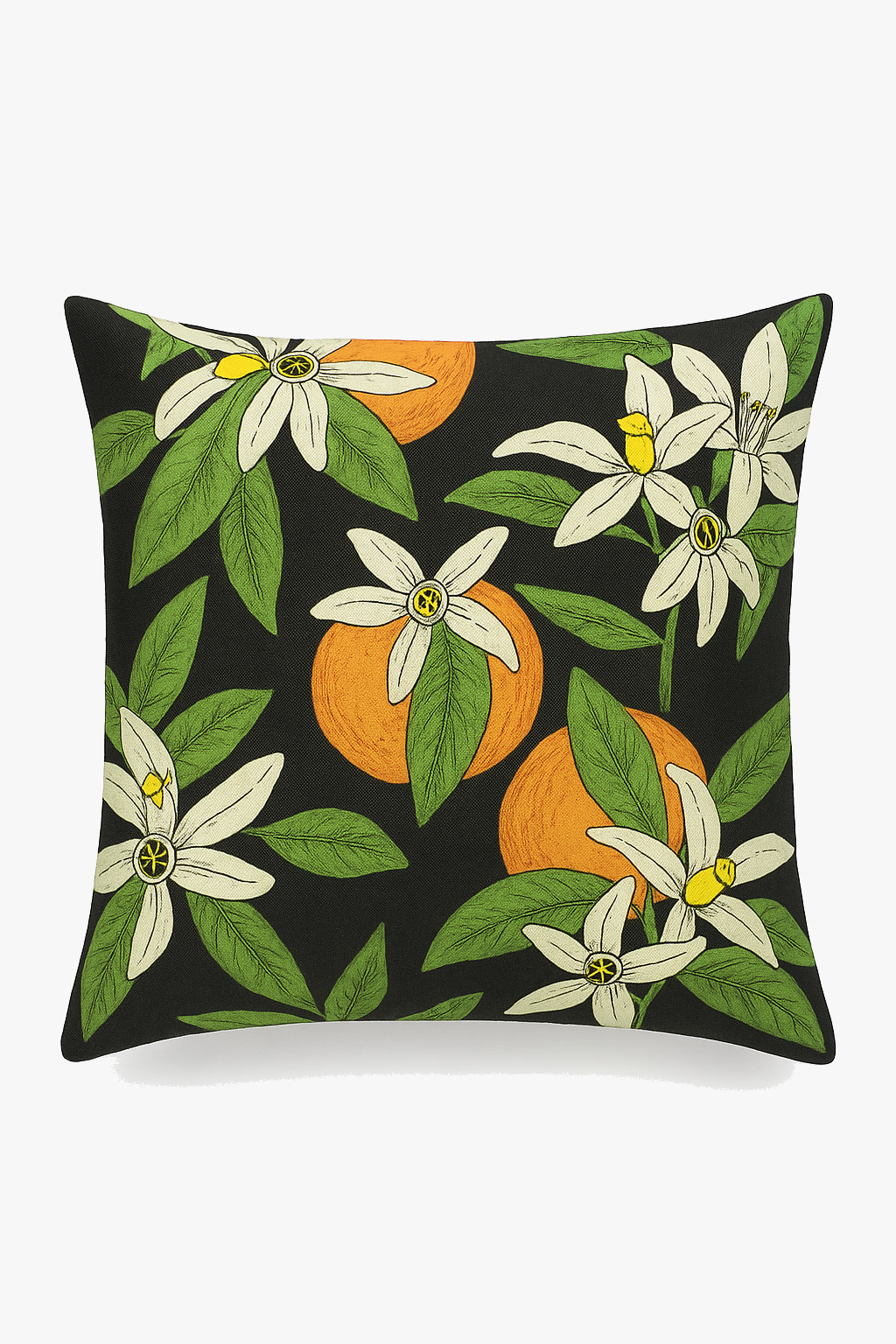 housse de coussin décorative fruits d'été colorés pour canapé