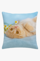 housse-de-coussin-d-corative-motif-chat-mignon-pour-votre-espace-0.png