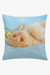 housse de coussin décorative motif chat mignon pour votre espace