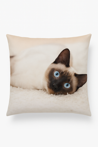 housse de coussin décorative avec motif chat mignon