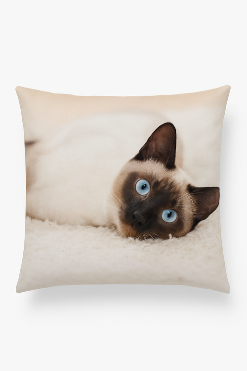 housse de coussin décorative avec motif chat mignon