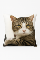 housse de coussin décorative motif chat mignon