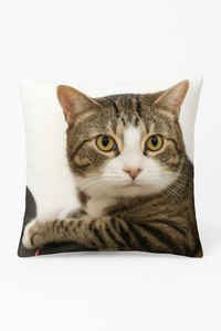 housse de coussin décorative motif chat mignon