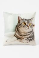housse de coussin décorative motif chat mignon pour intérieur