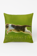 housse de coussin décorative motif chat mignon pour intérieur