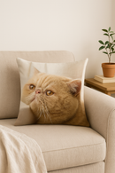 housse de coussin décorative motif chat mignon pour intérieur