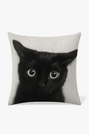 housse-de-coussin-imprim-e-chat-noir-pour-d-coration-int-rieure-0.png