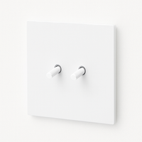 Interrupteur double 2 voies en acier blanc mat