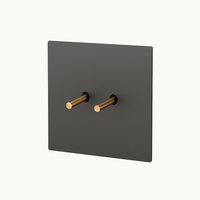 Interrupteur double 2 voies intermédiaire switch en acier gris brossé et doré
