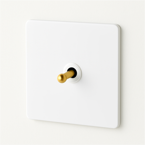 prises-et-interrupteurs-blancs-avec-variateur-en-acier-inoxydable-0.png