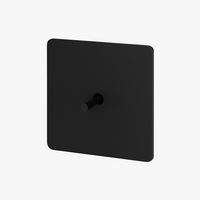 Interrupteur simple 1 voie en acier noir mat
