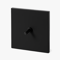 Interrupteur simple 1 voie en acier noir mat