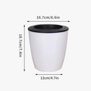 jardini-re-auto-arrosante-moderne-pour-plantes-succulentes-et-orchid-es-6.png