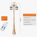lampadaire-solaire-de-style-europ-en-7.png