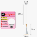 lustre-moderne-simple-en-fer-pour-maison-restaurant-8.png