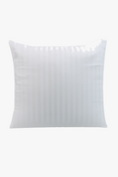 noyaux-de-coussins-en-coton-modernes-et-ray-s-0.png
