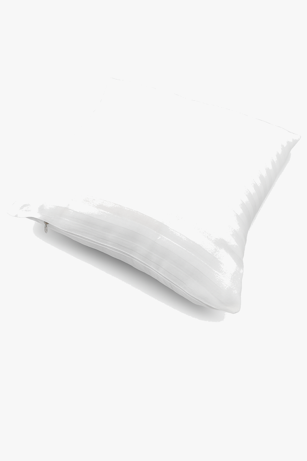 noyaux-de-coussins-en-coton-modernes-et-ray-s-4.png