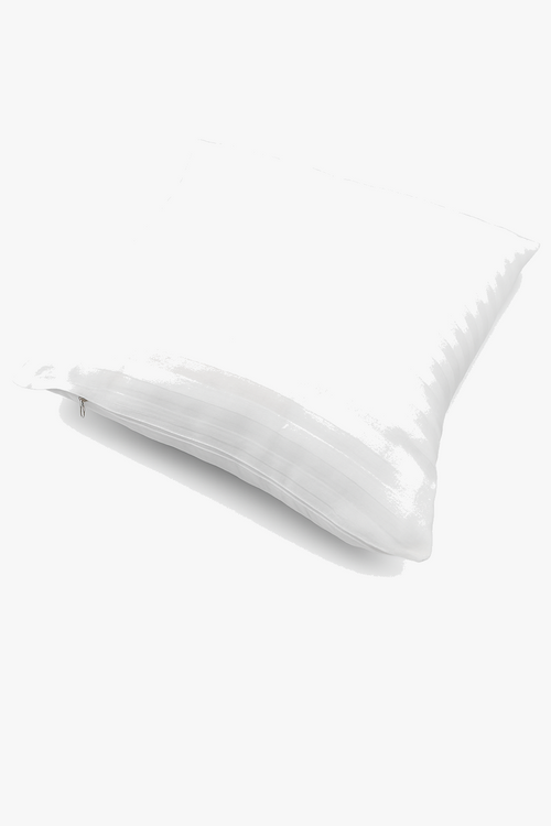 noyaux-de-coussins-en-coton-modernes-et-ray-s-4.png