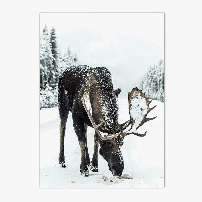 peinture-murale-for-t-enneig-e-avec-animaux-nordiques-d-corative-6.png
