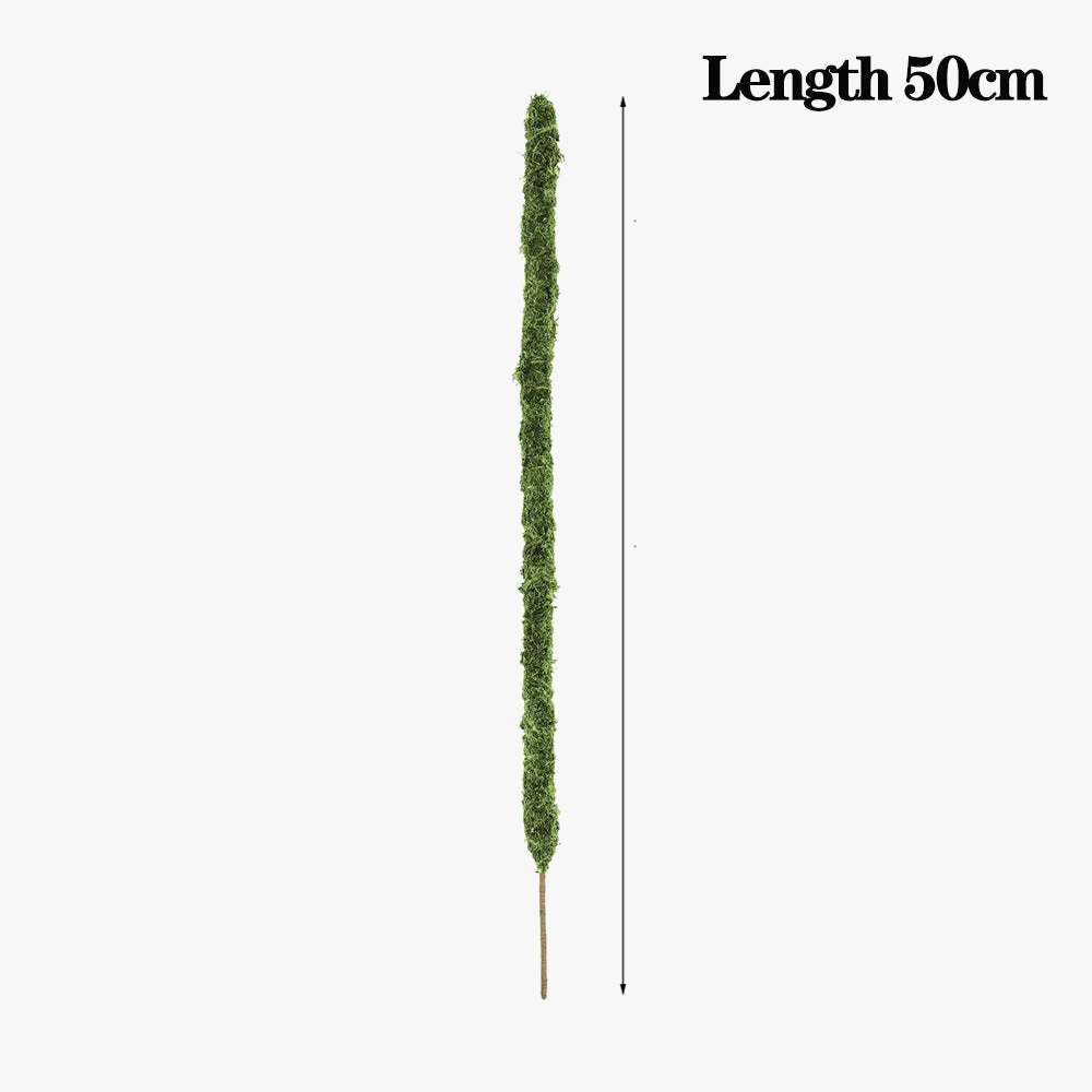 piquets-pliables-en-mousse-faits-main-pour-plantes-monstera-en-gros-7.png