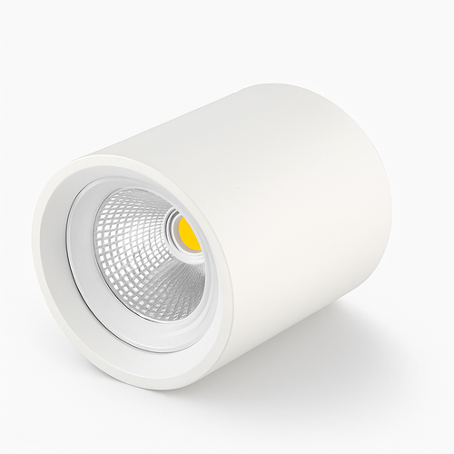 plafonnier-led-dimmable-spot-lumi-re-vers-le-bas-d-coration-2.png