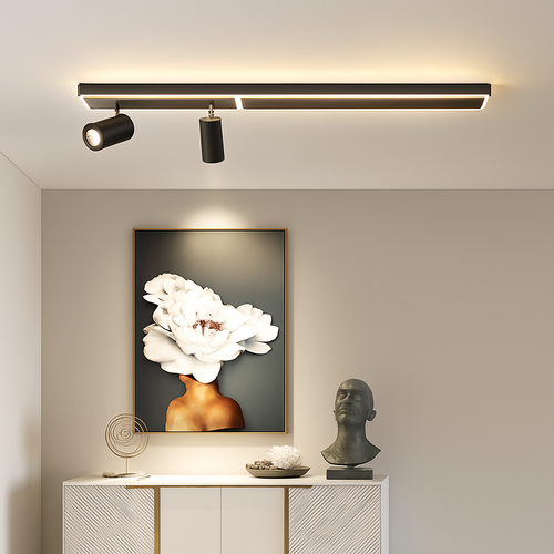 plafonnier led moderne avec projecteur pour intérieur décoratif - vue 2 sur 14