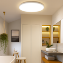 plafonnier led moderne pour un éclairage intérieur élégant