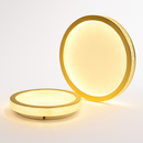 plafonnier led moderne pour une décoration intérieure élégante