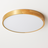 plafonnier led ultra-mince moderne avec télécommande pour décoration maison