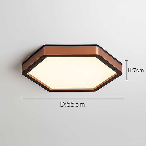 plafonnier moderne créatif rond style nordique éclairage LED décoratif - vue 9 sur 11