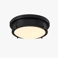 plafonnier rétro vintage style industriel pour intérieur et extérieur