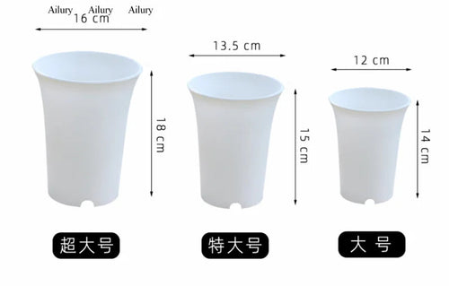plante-succulente-pot-en-plastique-pais-style-vintage-rond-5.png