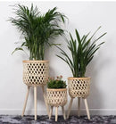 pot-de-fleurs-en-rotin-tiss-la-main-pour-plantes-vertes-1.png