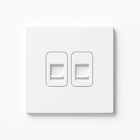 Prise double RJ45 en acier blanc mat