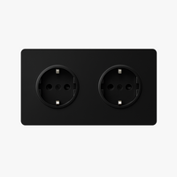Prise électrique double (Europe) en acier noir brossé