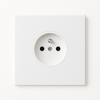 Prise électrique en acier blanc mat