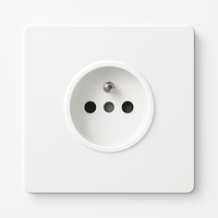 Prise électrique en acier blanc mat bords arrondis