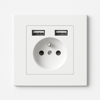 Prise électrique et double USB en acier blanc mat