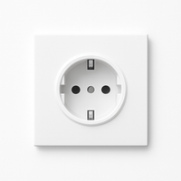 Prise électrique (Europe) en acier blanc mat