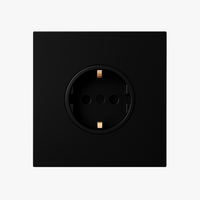 Prise électrique (Europe) en acier noir mat