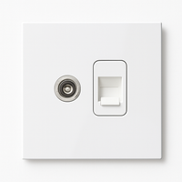 Prise TV et RJ45 en acier blanc mat