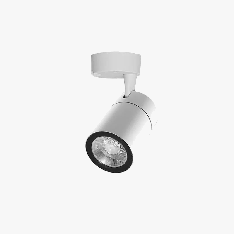 projecteurs-led-qiuboss-intensit-variable-pour-loft-7.png