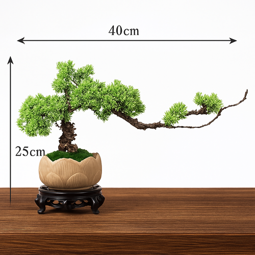 simulation arbre bonsaï pour décoration intérieure et aménagement extérieur - vue 16 sur 31